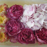 Thumbnail of post image 066