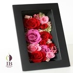 Thumbnail of post image 106