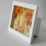 Thumbnail of post image 082