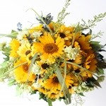 Thumbnail of post image 159