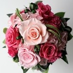 Thumbnail of post image 083