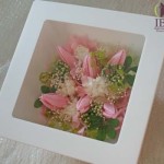 Thumbnail of post image 061