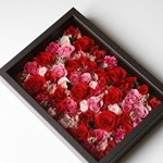 Thumbnail of post image 054