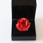 Thumbnail of post image 087