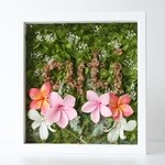 Thumbnail of post image 199