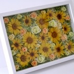 Thumbnail of post image 004