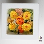 Thumbnail of post image 069