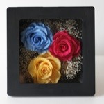 Thumbnail of post image 082