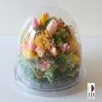 Thumbnail of post image 061