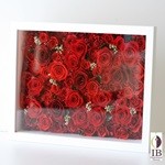 Thumbnail of post image 164