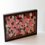 Thumbnail of post image 153