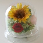 Thumbnail of post image 049