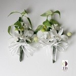 Thumbnail of post image 126