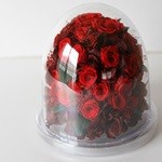 Thumbnail of post image 177