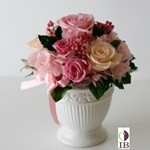 Thumbnail of post image 133