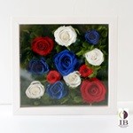 Thumbnail of post image 074