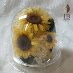 Thumbnail of post image 056