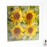 Thumbnail of post image 162