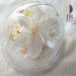 Thumbnail of post image 051