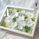 Thumbnail of post image 175