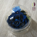 Thumbnail of post image 130