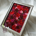 Thumbnail of post image 071