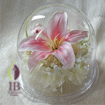 Thumbnail of post image 118