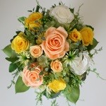 Thumbnail of post image 173