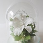 Thumbnail of post image 172