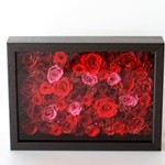 Thumbnail of post image 118