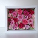 Thumbnail of post image 042