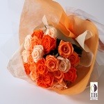 Thumbnail of post image 193