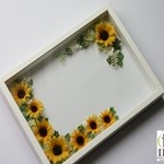 Thumbnail of post image 162