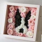 Thumbnail of post image 056