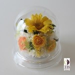 Thumbnail of post image 053