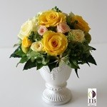 Thumbnail of post image 104