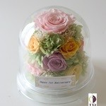 Thumbnail of post image 080