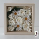 Thumbnail of post image 047