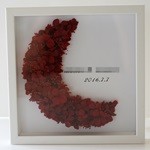 Thumbnail of post image 022