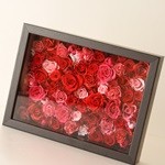 Thumbnail of post image 194