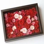 Thumbnail of post image 079