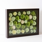 Thumbnail of post image 190