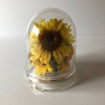 Thumbnail of post image 146