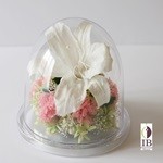 Thumbnail of post image 095