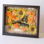 Thumbnail of post image 138