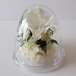 Thumbnail of post image 175