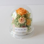 Thumbnail of post image 079