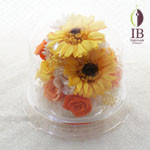 Thumbnail of post image 166