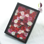 Thumbnail of post image 185