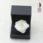 Thumbnail of post image 176